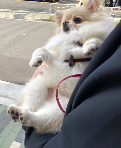 たろくんいろいろ