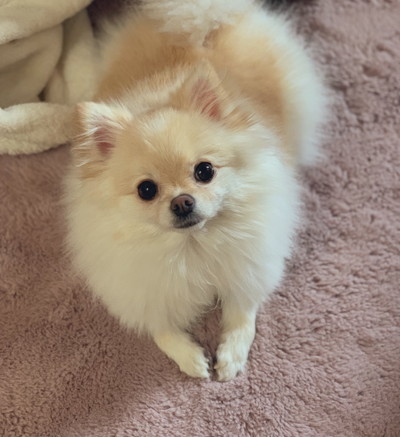 たろくんいろいろ