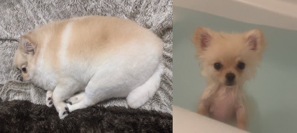 たろくんいろいろ