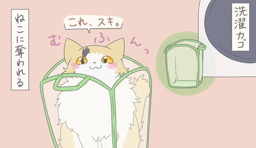 洗濯カゴはネコちゃんのもの