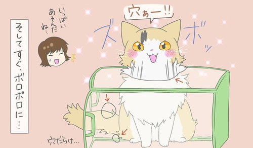 洗濯カゴはネコちゃんのもの