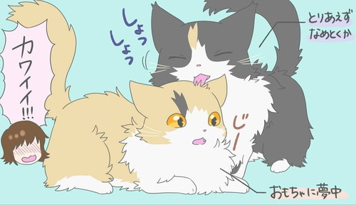 「ケンカでも始まると思いきや……」