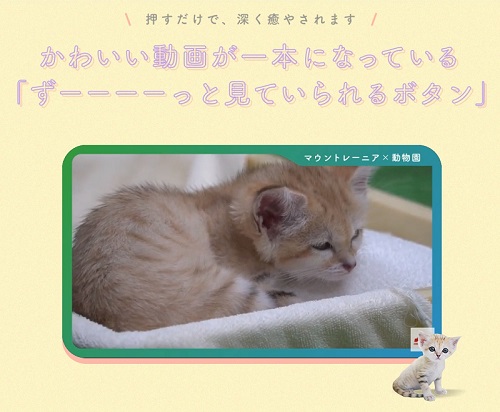 マウントレーニア動物園コラボ