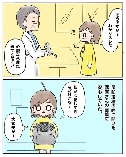 少食な猫ちゃん