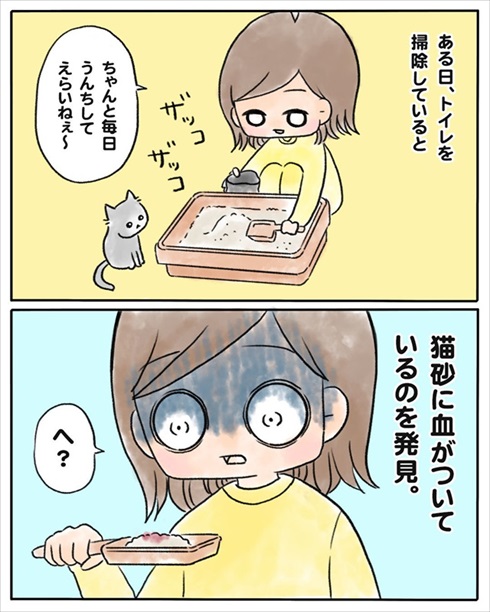 少食な猫ちゃん