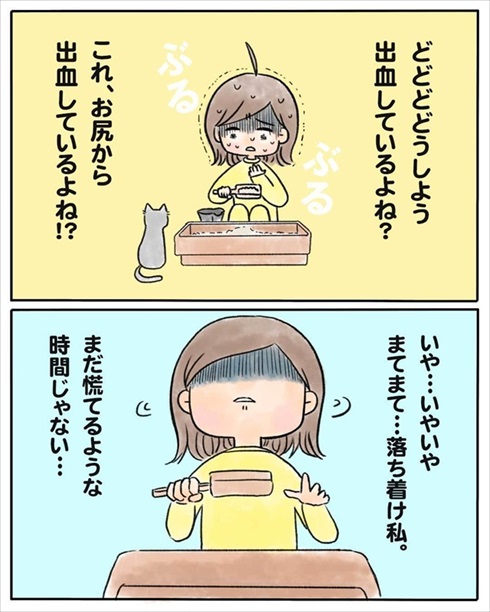 少食な猫ちゃん