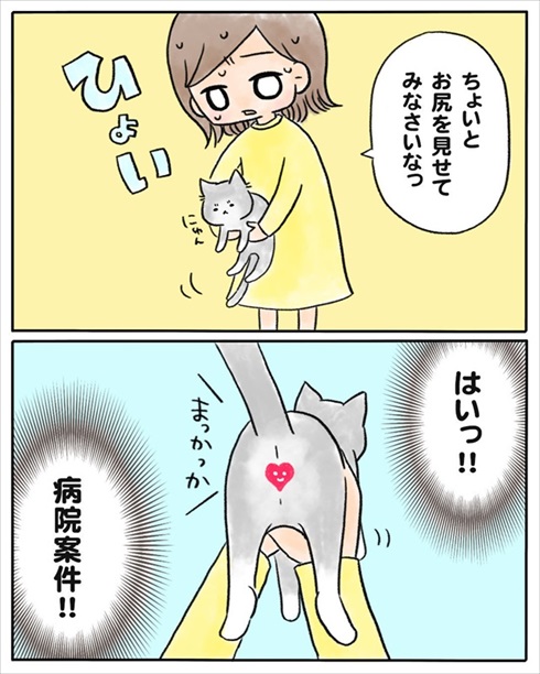 少食な猫ちゃん