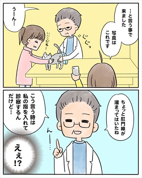 少食な猫ちゃん