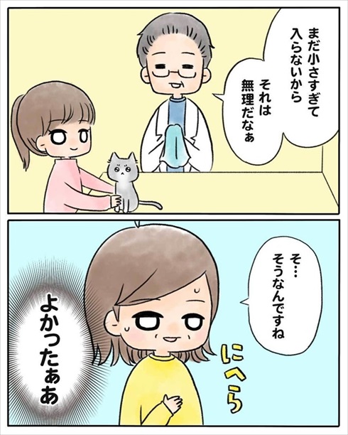 少食な猫ちゃん