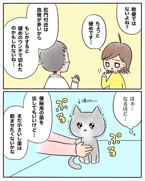 少食な猫ちゃん