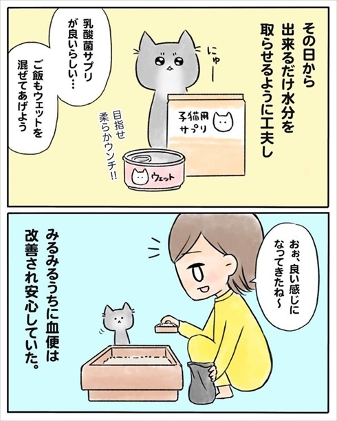 少食な猫ちゃん