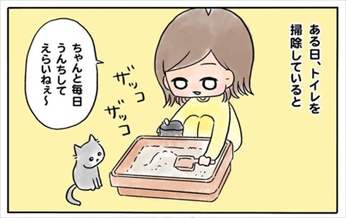 少食な猫ちゃん