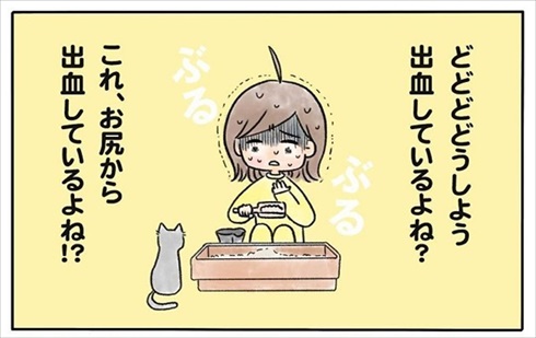 少食な猫ちゃん