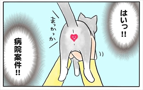 少食な猫ちゃん