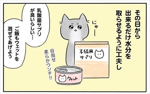 少食な猫ちゃん