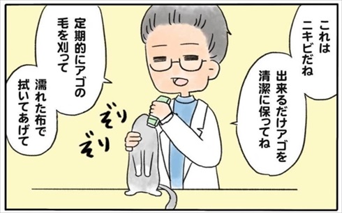 少食な猫ちゃん