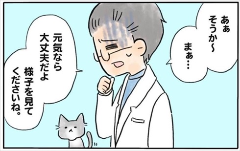 少食な猫ちゃん