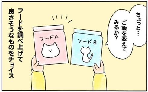 少食な猫ちゃん