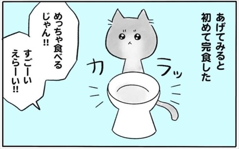 少食な猫ちゃん