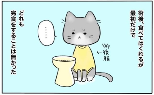 少食な猫ちゃん