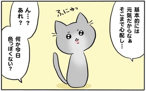 少食な猫ちゃん