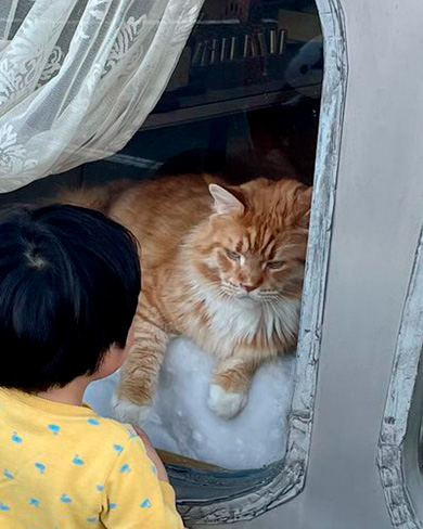 ほそいあやさん