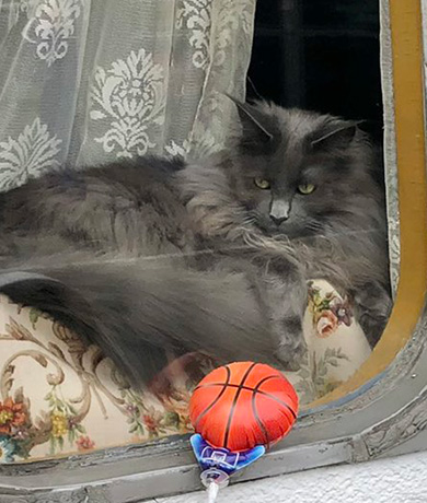 ほそいあやさん