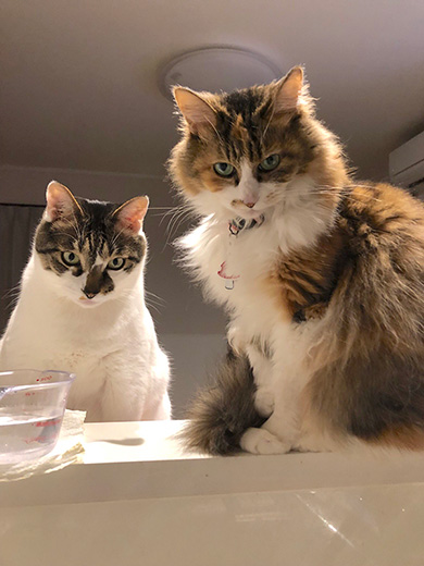 ほそいあやさん