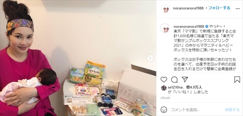 平野ノラ 娘 バブ子 夫 インスタ