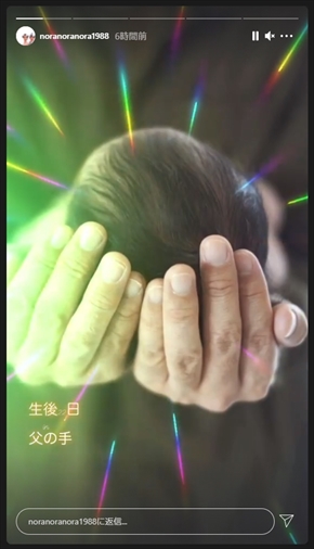 平野ノラ 娘 バブ子 夫 インスタ