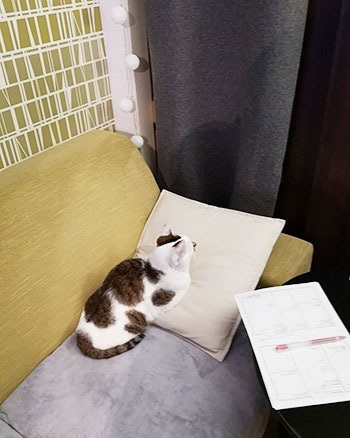 ちゃっかり猫ちゃん