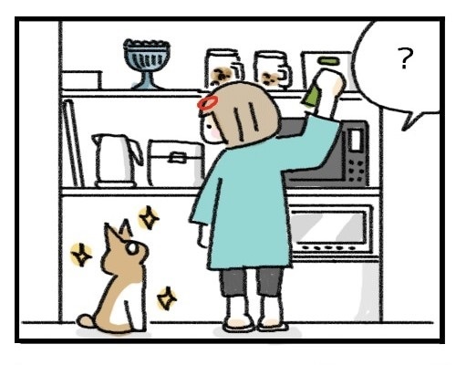 ちゃっかり猫ちゃん