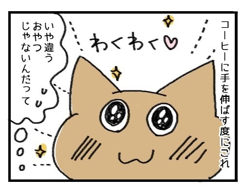 ちゃっかり猫ちゃん