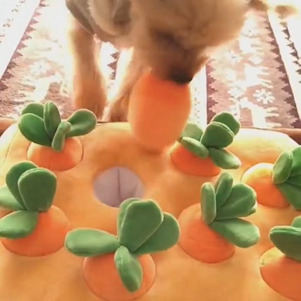 にんじんを引っこ抜くりんちゃん