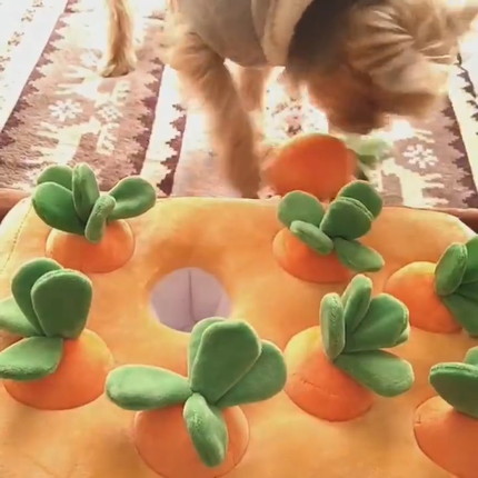 にんじんを引っこ抜くりんちゃん