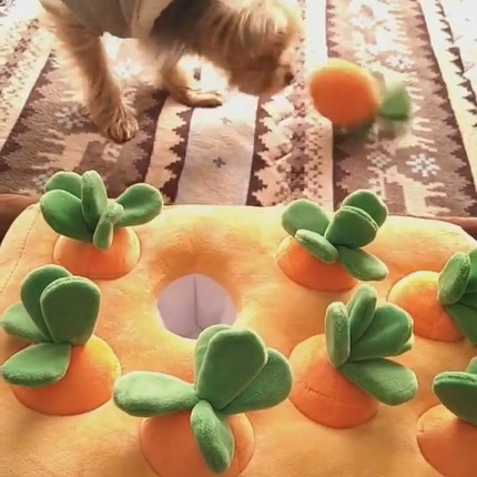 にんじんを引っこ抜くりんちゃん