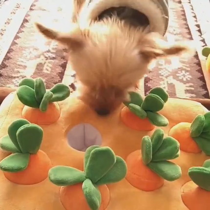 にんじんを引っこ抜くりんちゃん