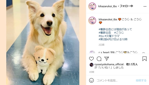 着飾る恋には理由があって こうじ ドラマ 横浜流星 犬