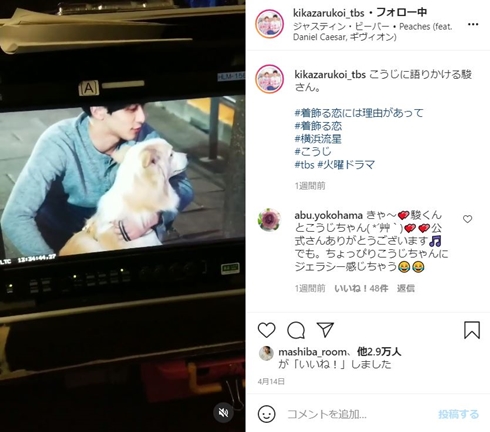 着飾る恋には理由があって こうじ ドラマ 横浜流星 犬