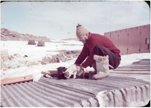 南極へ行った猫　たけし