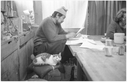 南極へ行った猫　たけし