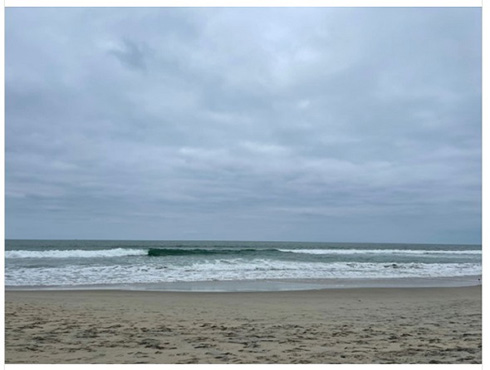 ダルビッシュ聖子 ゴミ拾い