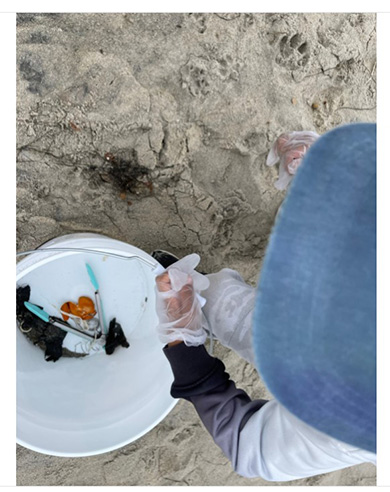 ダルビッシュ聖子 ゴミ拾い