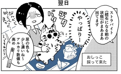 3本足のしじみちゃん