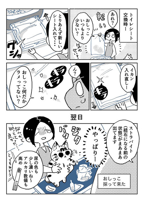 3本足のしじみちゃん