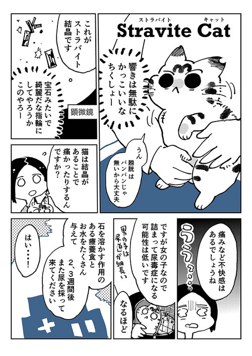 3本足のしじみちゃん