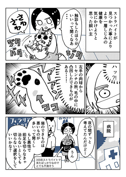 3本足のしじみちゃん