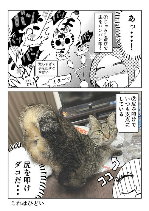 3本足のしじみちゃん