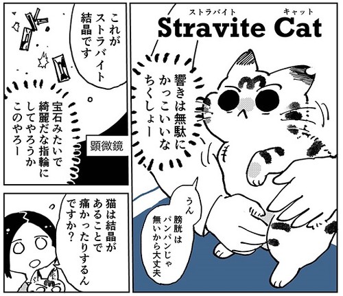 3本足のしじみちゃん