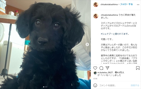 高嶋ちさ子 犬 ネロ 愛犬 インスタ 鬼ママ